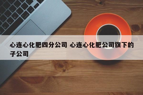 心連心化肥四分公司 心連心化肥公司旗下的子公司