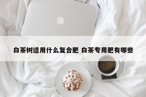 白茶樹適用什么復(fù)合肥 白茶專用肥有哪些